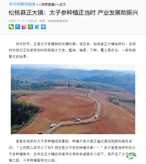【成績(jī)單來(lái)了！】松桃2024年11月份對(duì)外宣傳成績(jī)單