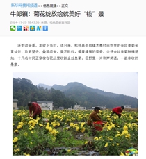 【成績(jī)單來(lái)了！】松桃2024年11月份對(duì)外宣傳成績(jī)單