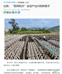 【成績(jī)單來(lái)了！】松桃2024年11月份對(duì)外宣傳成績(jī)單