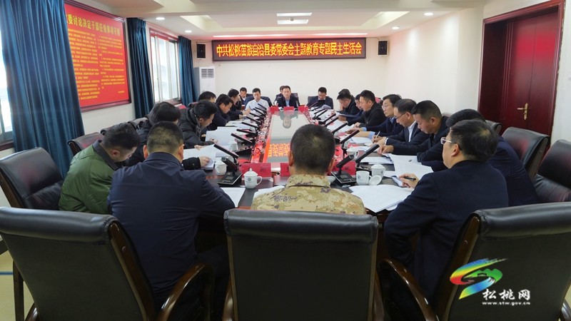 縣委常委會召開學(xué)習(xí)貫徹習(xí)近平新時代中國特色社會主義思想主題教育專題民主生活會