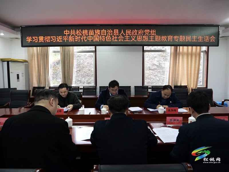縣人民政府黨組召開學(xué)習(xí)貫徹習(xí)近平新時代中國特色社會主義思想主題教育專題民主生活會
