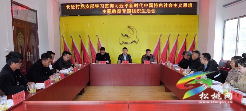 陳琪到聯(lián)系點參加村黨支部主題教育專題組織生活會