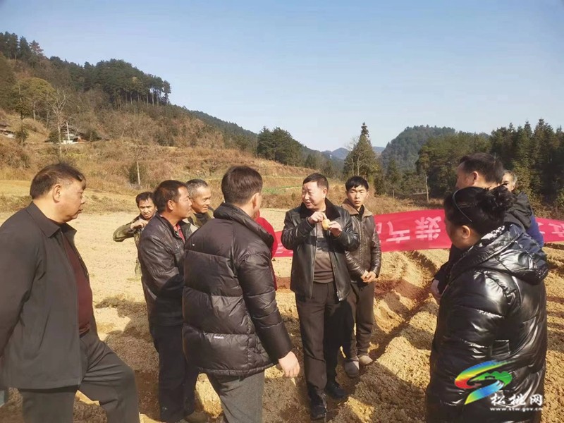 盤(pán)信鎮(zhèn)：農(nóng)技人員指導(dǎo)洋芋種植