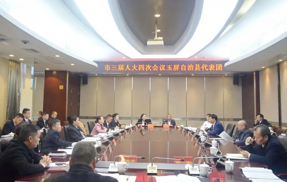 市三屆人大四次會議各代表團(tuán)繼續(xù)審議政府工作報告