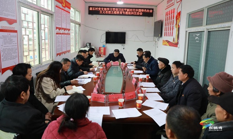 吳廷友到聯(lián)系點(diǎn)參加村黨支部主題教育專題組織生活會