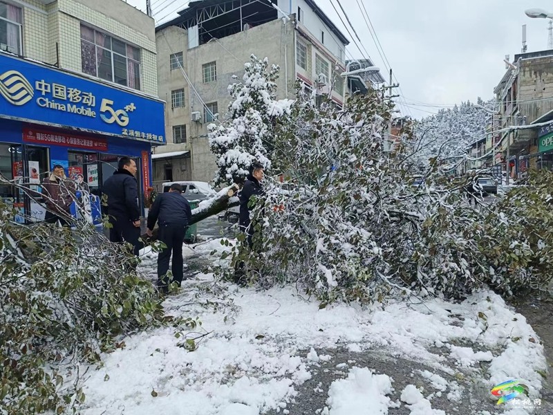 最美雪“警”，有速度更有溫度！