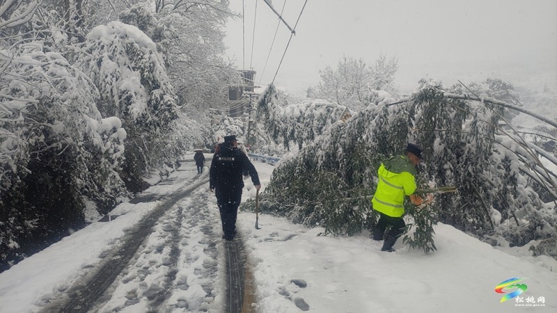 最美雪“警”，有速度更有溫度！