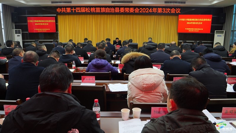 縣委常委會2024年第3次會議召開