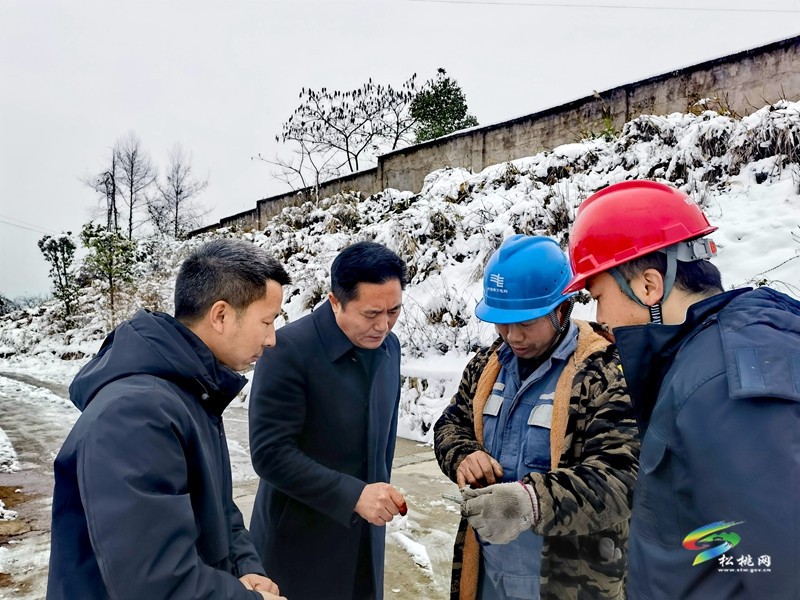 陳琪調(diào)研督導低溫雨雪凝凍天氣防范應對工作