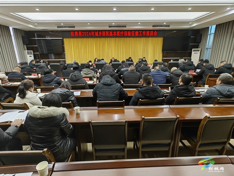 松桃2024年城鄉(xiāng)居民基本醫(yī)療保險(xiǎn)征繳工作推進(jìn)會(huì)召開(kāi)