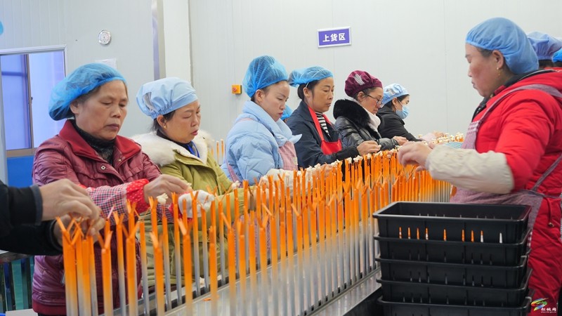 陳琪調(diào)研督導(dǎo)企業(yè)復(fù)工復(fù)產(chǎn)工作