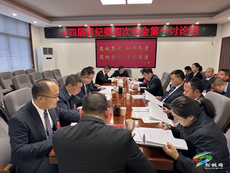 十四屆縣紀委四次全會進行分組討論