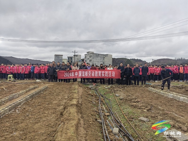盤信鎮(zhèn)民族完小開展綠色生態(tài)文明試點(diǎn)校勞動教育實(shí)踐活動
