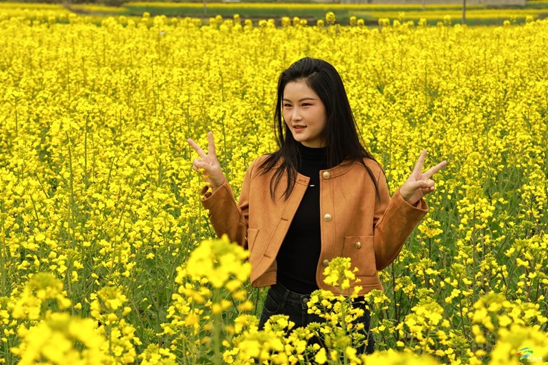 孟溪:游油菜花海 赴春天之約