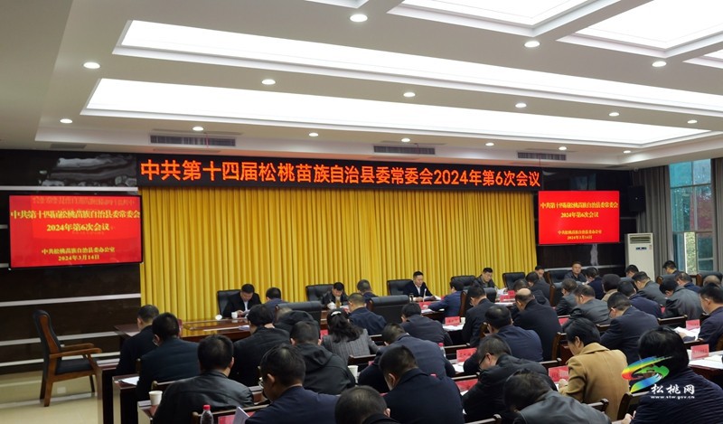 縣委常委會2024年第6次會議召開
