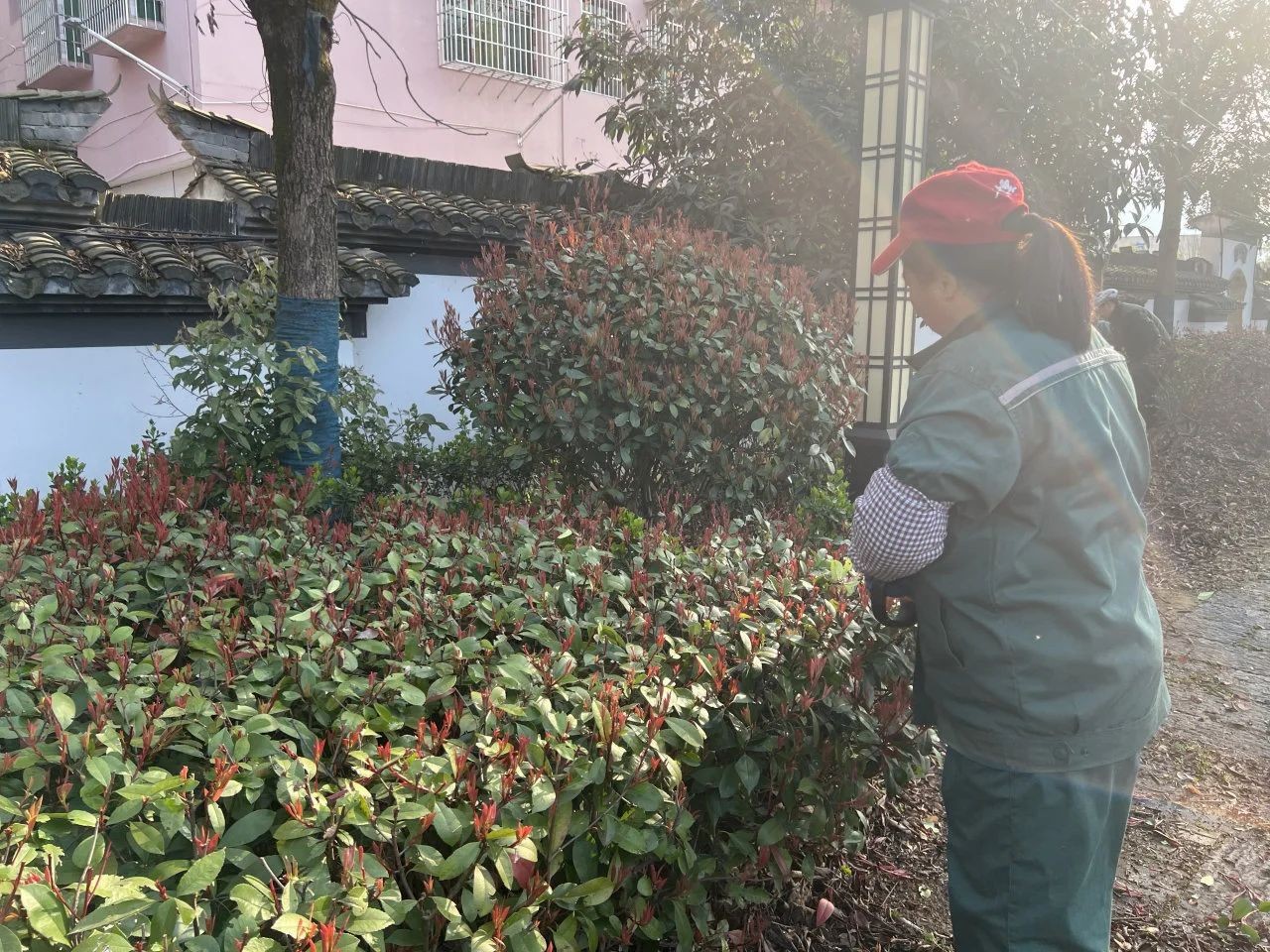 厚植綠色底蘊(yùn) 為美麗萬(wàn)山增“顏值”