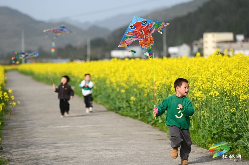 【多彩貴州·花漾中國(guó)】孟溪鎮(zhèn)安山村：李花爛漫 約你相見(jiàn)
