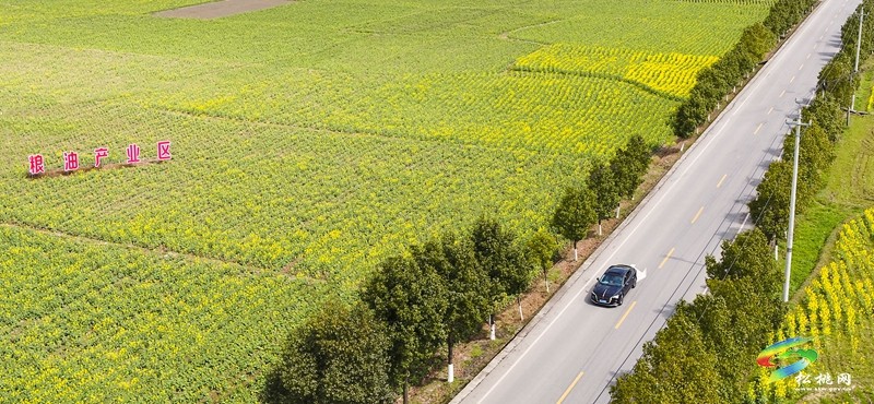 跟著松桃公路上春山