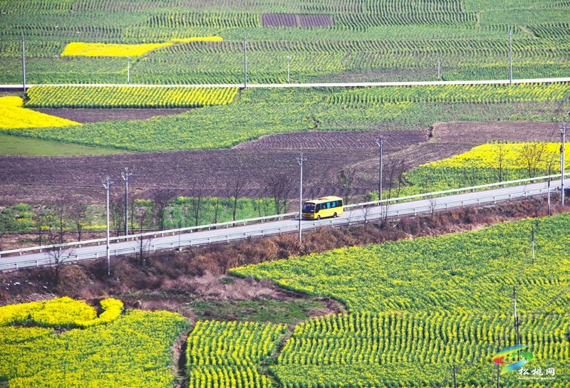 跟著松桃公路上春山