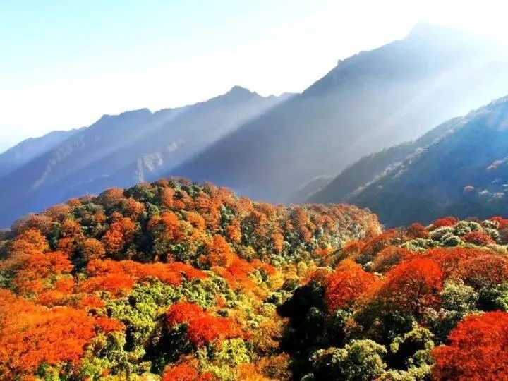 即將亮相央視!這次,跟著《2024中國詩詞大會》暢游梵凈山