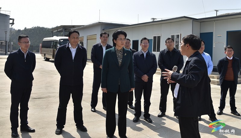 湘西州考察團到我縣考察“錳三角”礦業(yè)污染綜合治理工作