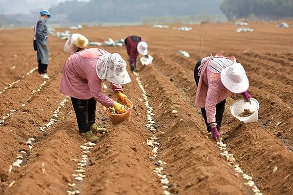 【奮進的春天】興義：17億金融“春雨”助力春耕備耕【興義融媒】