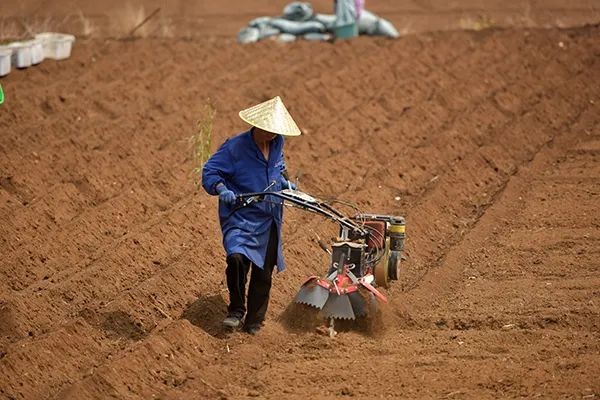 【奮進的春天】興義：17億金融“春雨”助力春耕備耕【興義融媒】