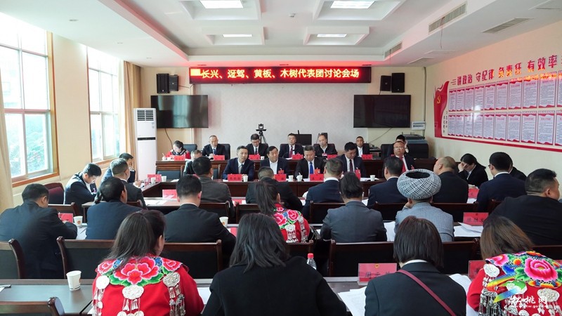 縣十七屆人大三次會議進(jìn)行分組審議