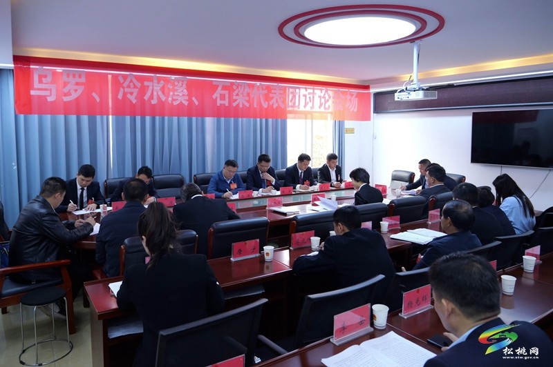 縣十七屆人大三次會議進(jìn)行分組審議
