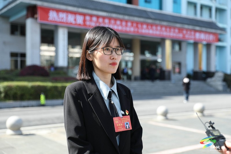 縣十七屆人大三次會議進(jìn)行分組審議
