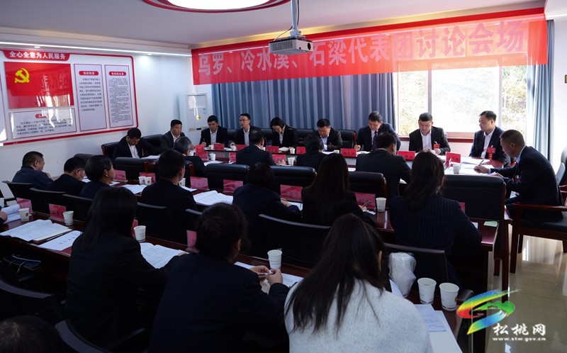 縣十七屆人大三次會議進行第二次分組審議