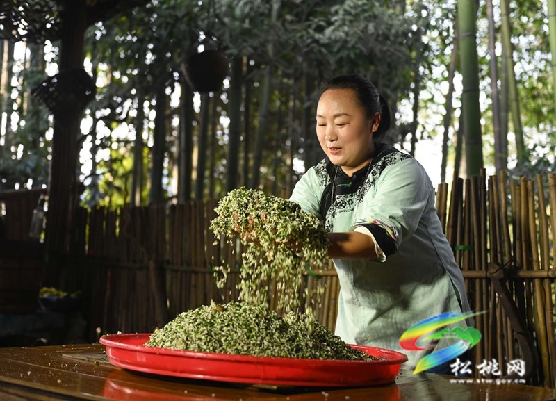 【奮進(jìn)的春天】松桃：春來(lái)社飯香品嘗春天的味道