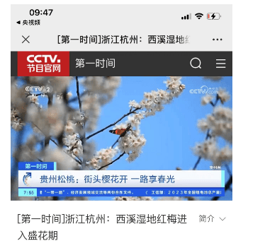 【成績單來了！】松桃2024年3月份對外宣傳成績單