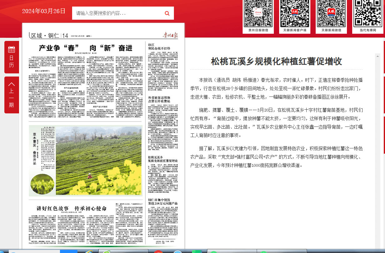 【成績單來了！】松桃2024年3月份對外宣傳成績單