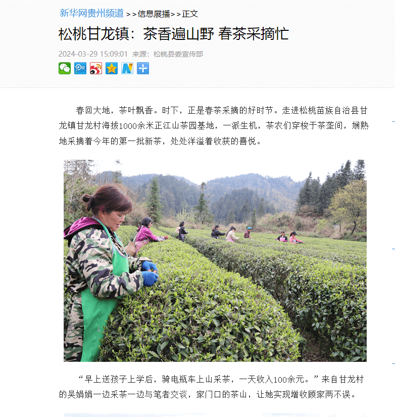 【成績單來了！】松桃2024年3月份對外宣傳成績單