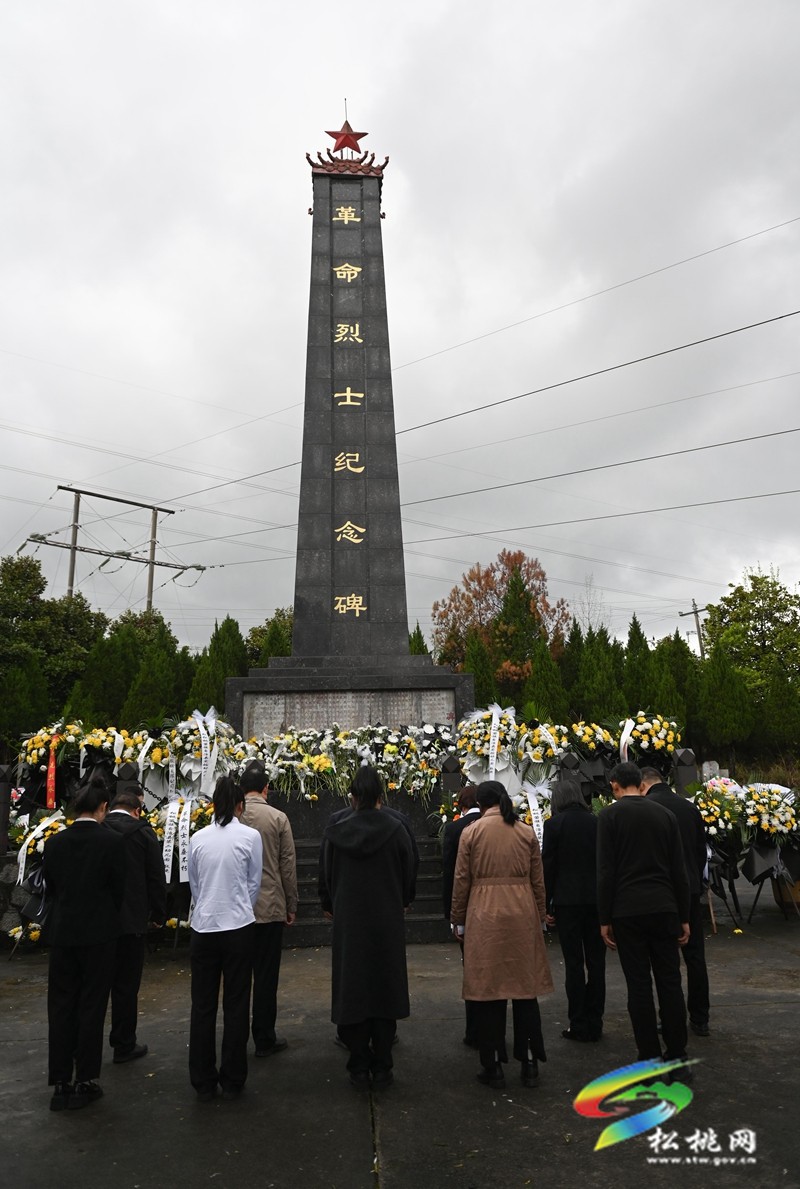 【網(wǎng)絡(luò)中國節(jié)·清明】松桃：清明時節(jié)祭英烈