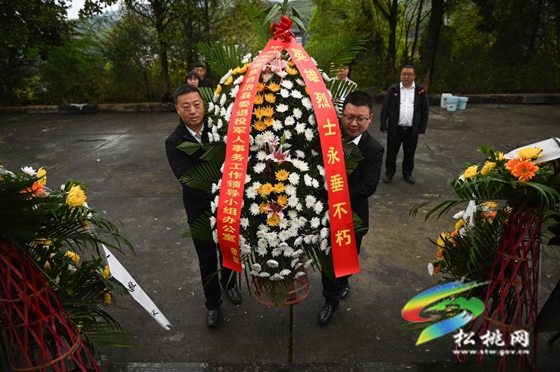 【網(wǎng)絡(luò)中國節(jié)·清明】松桃：清明時節(jié)祭英烈