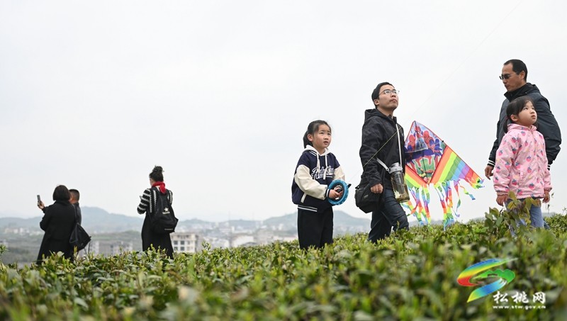 【網(wǎng)絡(luò)中國(guó)節(jié)·清明】松桃：踏青游玩正當(dāng)時(shí)