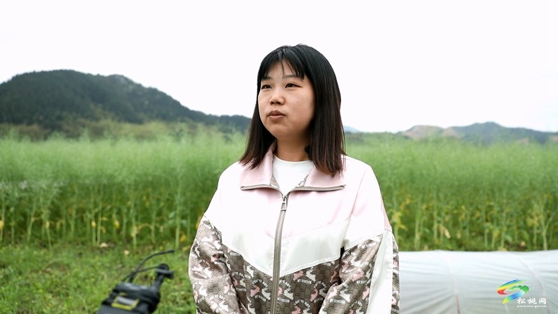 【奮進(jìn)的春天】平頭鎮(zhèn)：向土地要財富 讓荒山變金山
