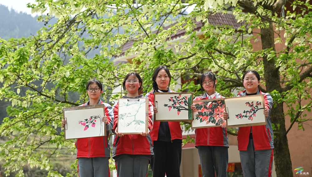 【多彩貴州·花漾中國(guó)】松桃：梵凈山下 鴿子花開