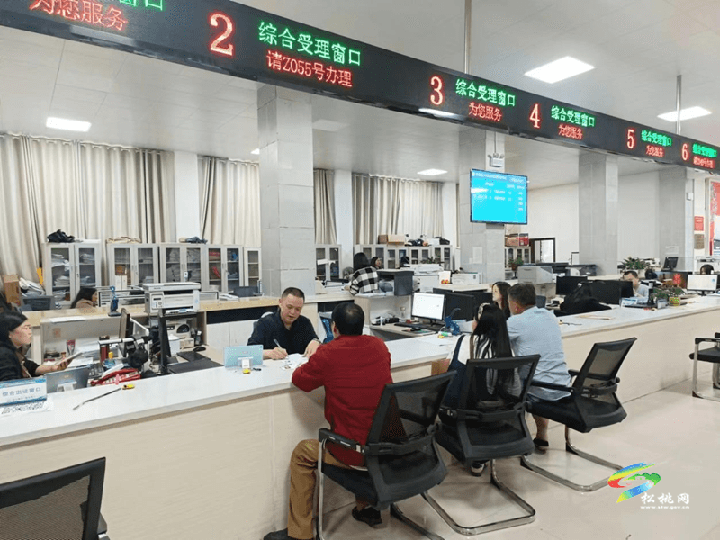 “跨省通辦”好  省錢(qián)不用跑