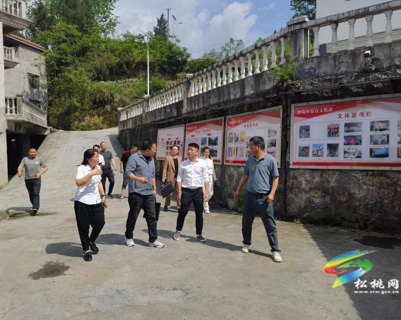 省文化和旅游廳專家組到妙隘鄉(xiāng)開展綜合文化站評(píng)估定級(jí)工作