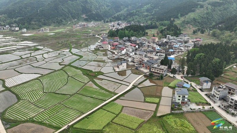 【奮進(jìn)的春天】普覺鎮(zhèn):自動(dòng)化育秧 讓春耕生產(chǎn)跑出“加速度”