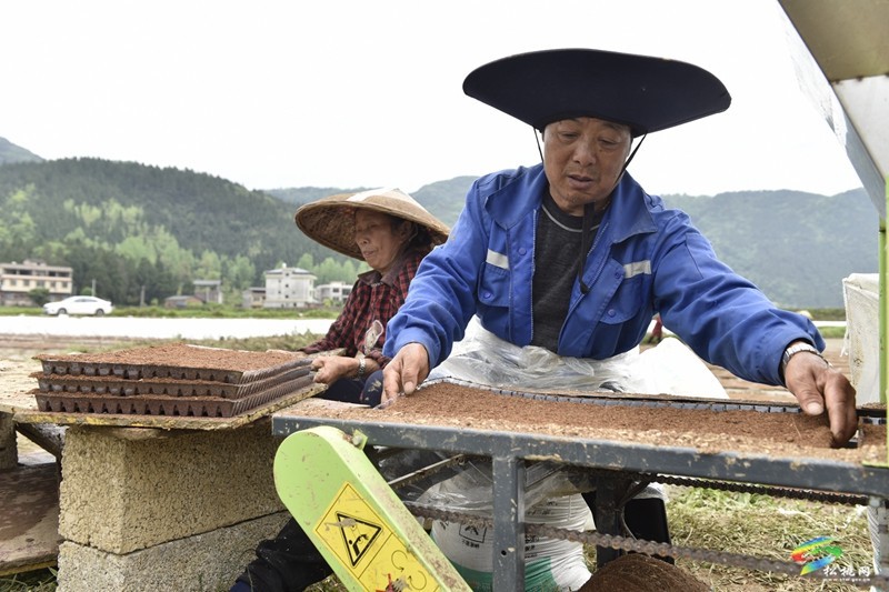 【奮進(jìn)的春天】普覺鎮(zhèn):自動(dòng)化育秧 讓春耕生產(chǎn)跑出“加速度”