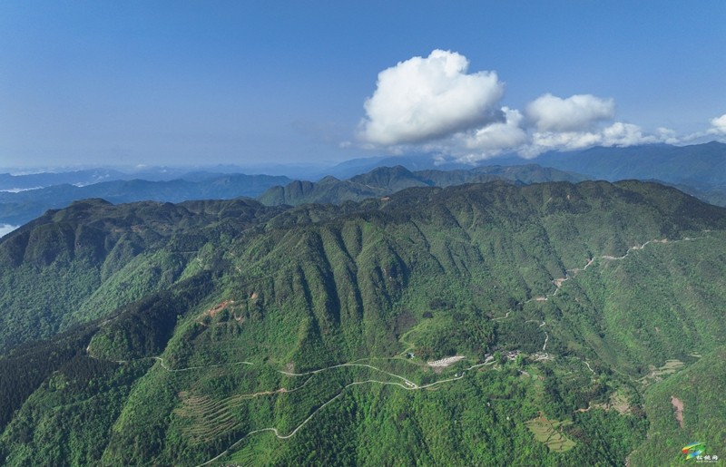 松桃陽(yáng)雀林場(chǎng)：守護(hù)萬(wàn)畝青山  構(gòu)筑綠色屏障