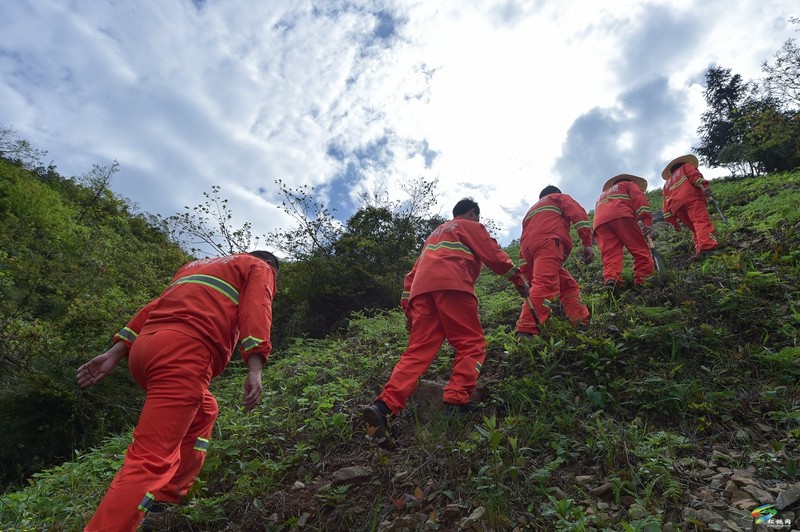 松桃陽(yáng)雀林場(chǎng)：守護(hù)萬(wàn)畝青山  構(gòu)筑綠色屏障
