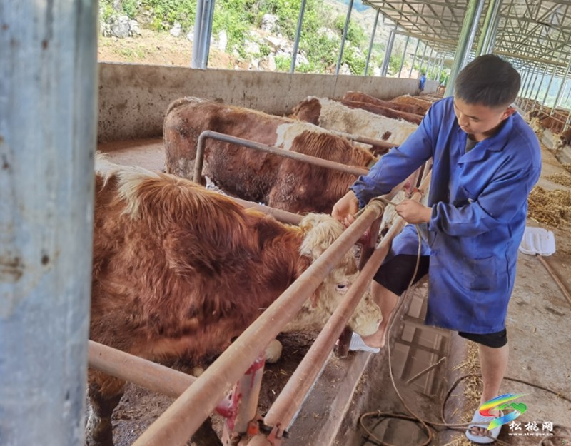 余春蘭：從實習(xí)獸醫(yī)到技術(shù)骨干的成長之路
