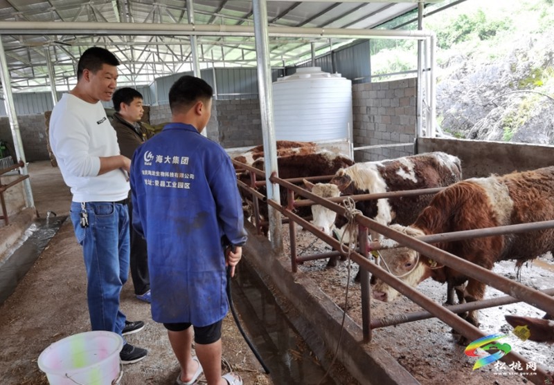 余春蘭：從實習(xí)獸醫(yī)到技術(shù)骨干的成長之路