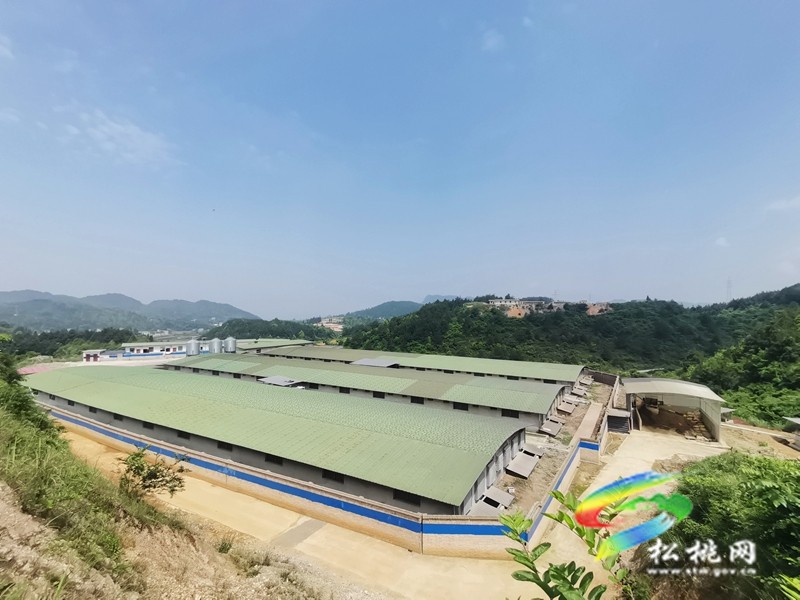 盤石鎮(zhèn)：建立“十查十到位” 工作機(jī)制，扎牢畜禽養(yǎng)殖污染“防治網(wǎng)”
