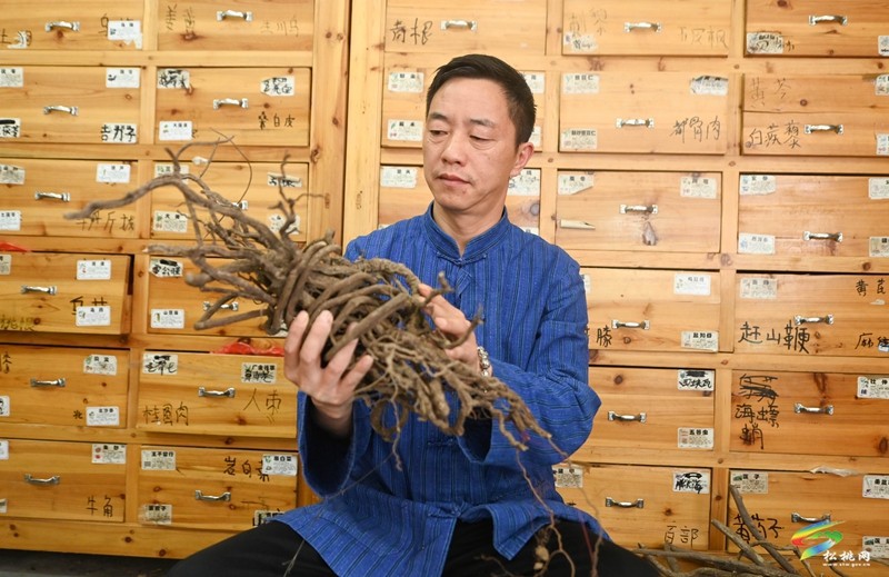 ?松桃苗醫(yī)龍曉金：治病救人?發(fā)揚苗醫(yī)苗藥